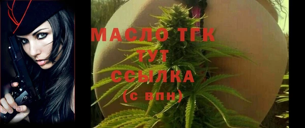 индика Володарск